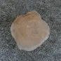morepic-7